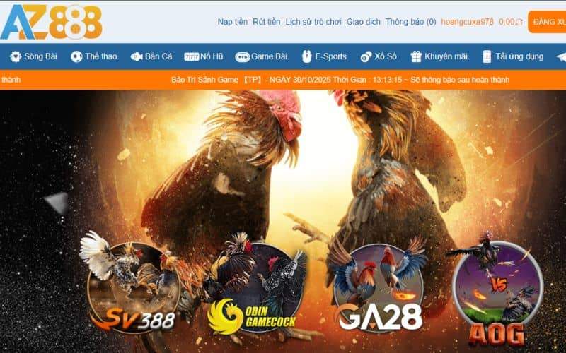 ODIN GAMECOCK là một trong những sảnh cược tại AZ888